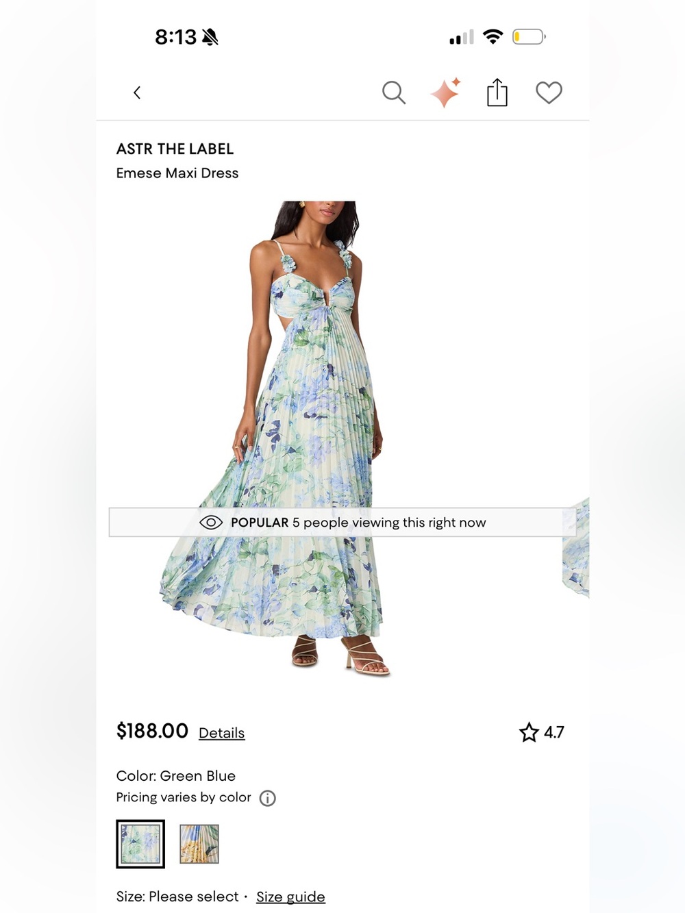 Astr Emese Maxi Dress - Green Blue Floral